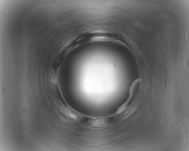 X0000066980384200603241243
