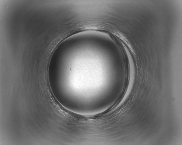 X0000066980385200603241242
