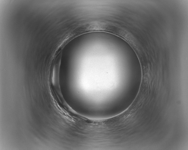 X0000066980386200603241242