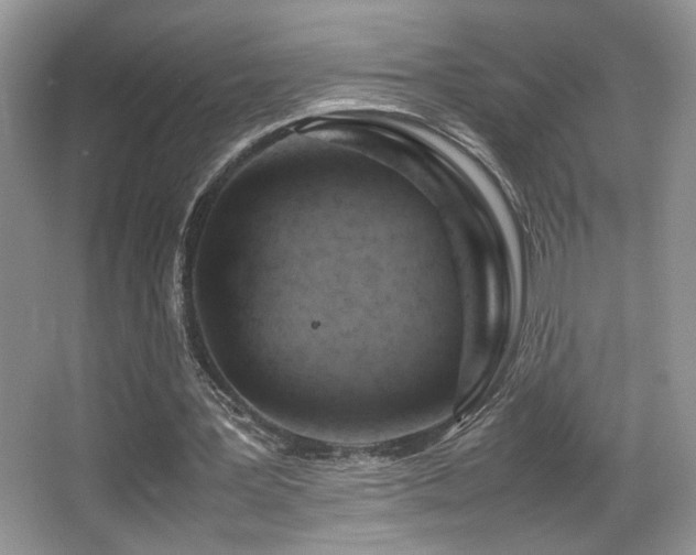 X0000066980387200603241242