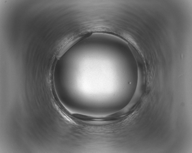 X0000066980389200603241242