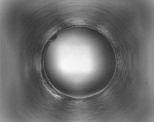 X0000066980390200603241242