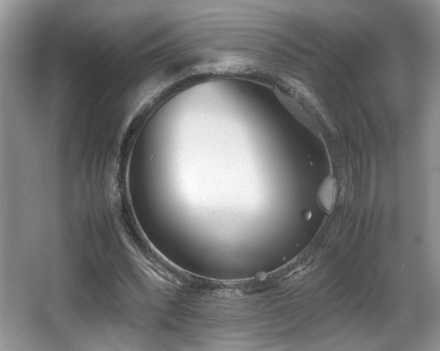 X0000066980392200603241242