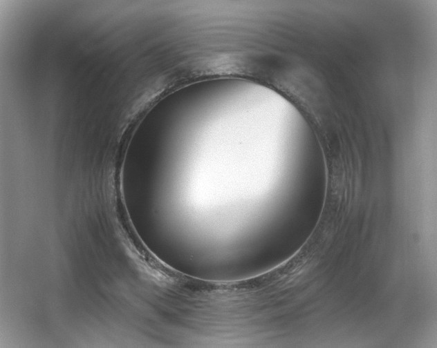 X0000066980394200603241242