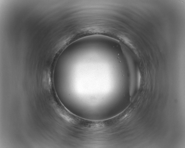 X0000066980398200603241242