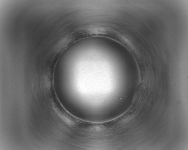 X0000066980402200603241242