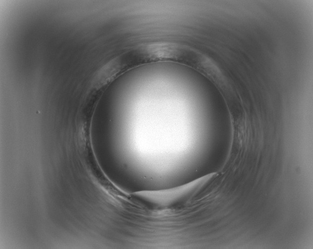 X0000066980410200603241242