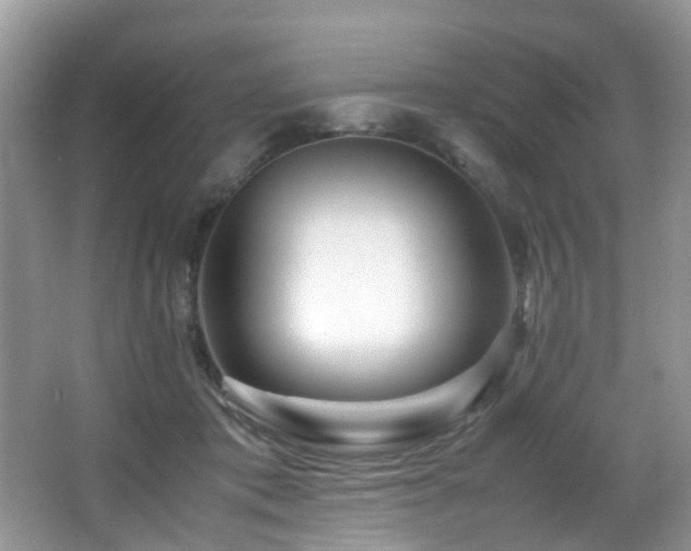 X0000066980413200603241242