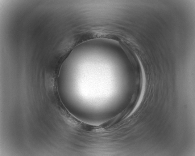 X0000066980417200603241242