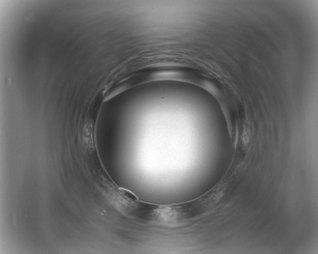 X0000066980425200603241242