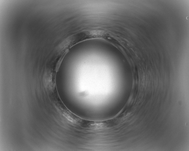 X0000066980428200603241241