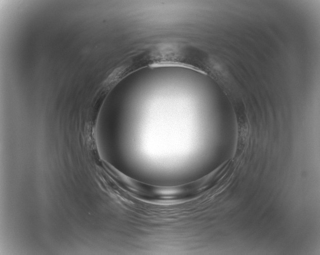 X0000066980429200603241241