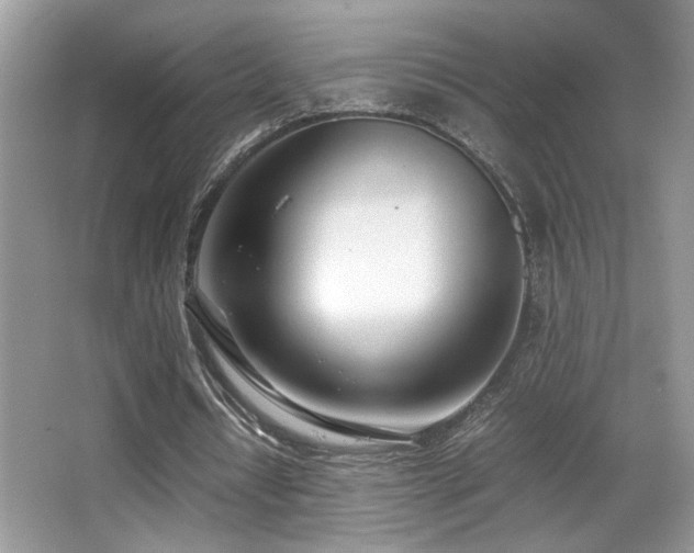 X0000066980434200603241241
