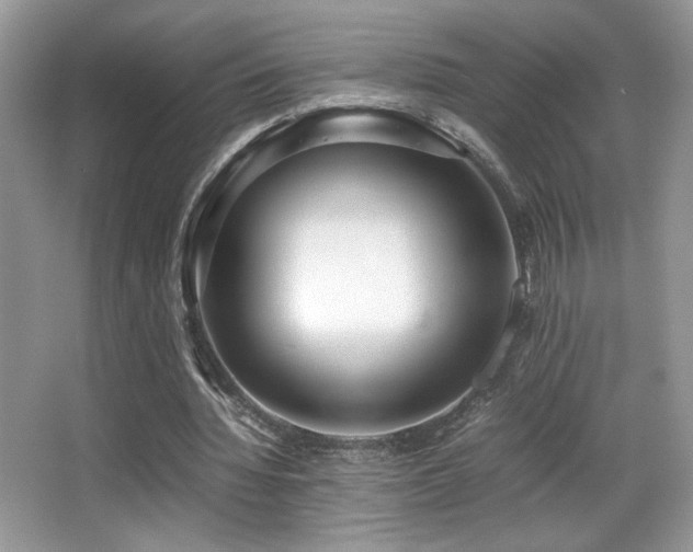 X0000066980436200603241241