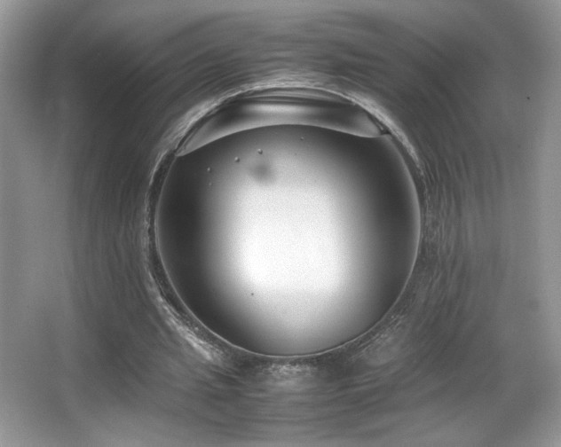 X0000066980437200603241241