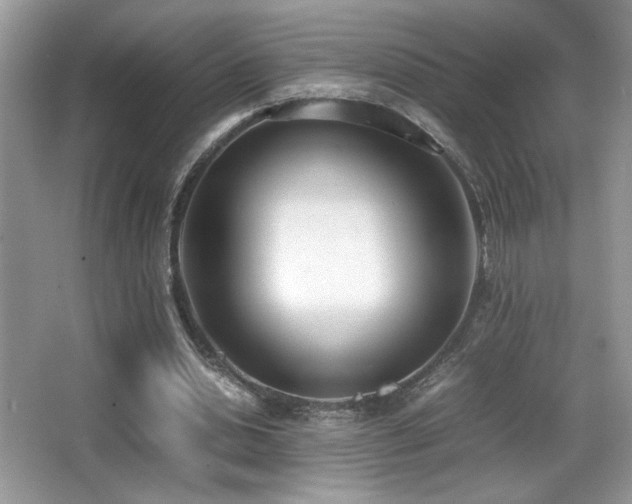 X0000066980438200603241241