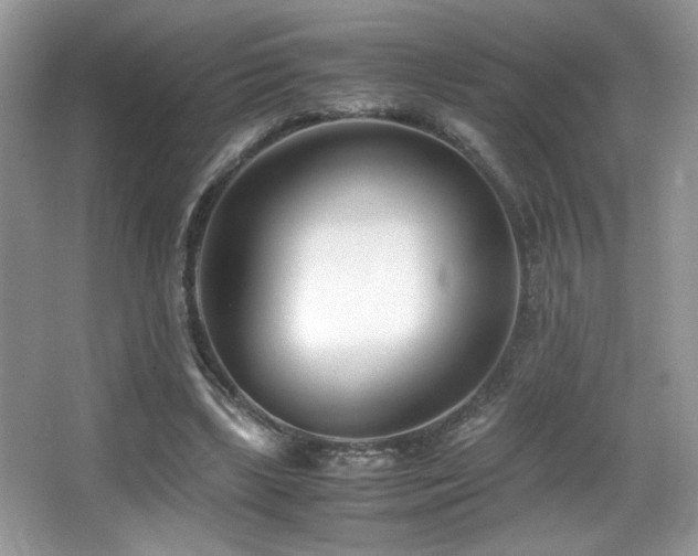 X0000066980443200603241241