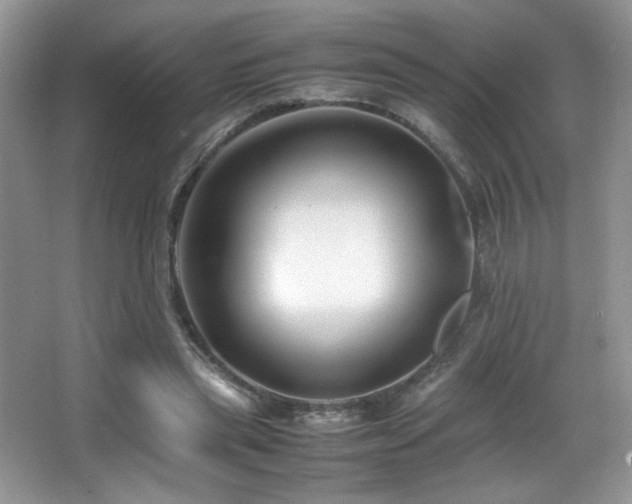 X0000066980445200603241241
