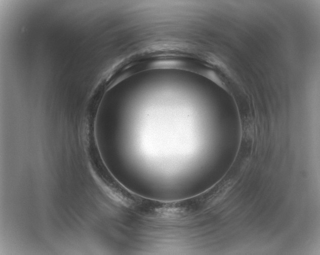 X0000066980448200603241241