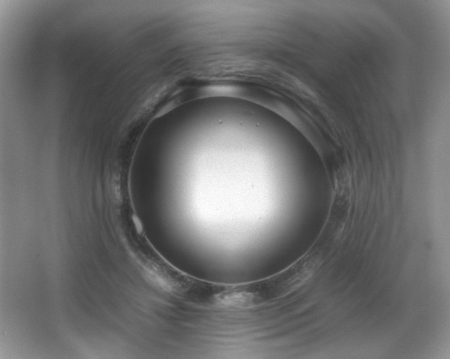 X0000066980452200603241241