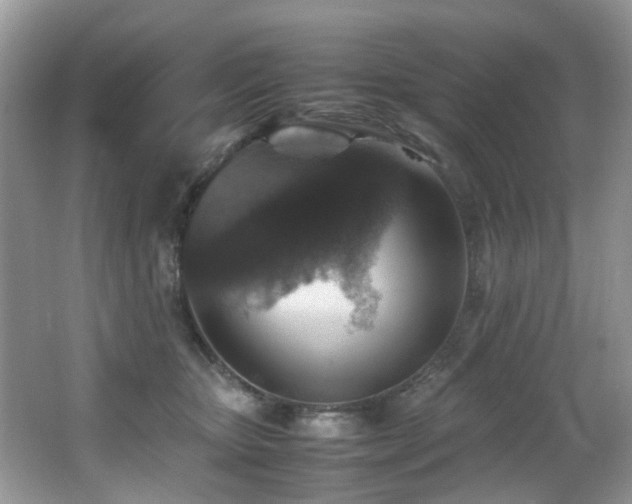 X0000066980467200603241241