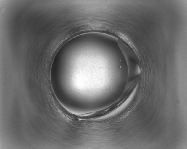 X0000066980481200603241241