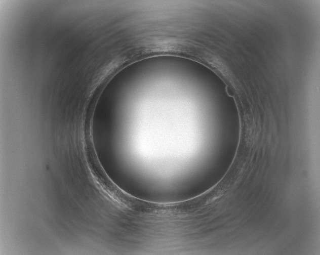 X0000066980482200603241241