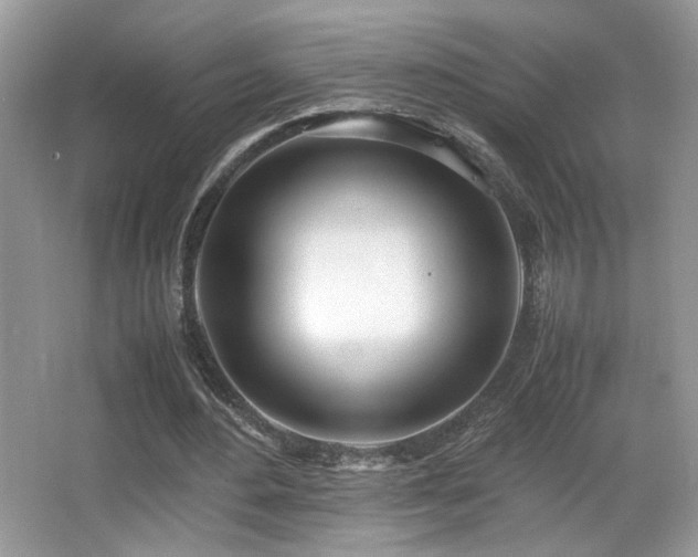 X0000066980484200603241241