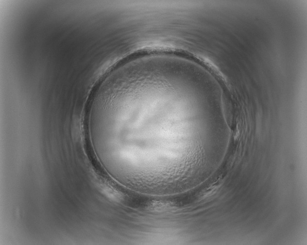 X0000066980487200603241240