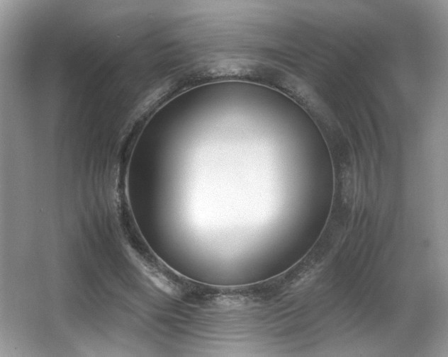 X0000066980490200603241240