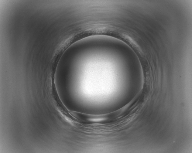 X0000066980493200603241240