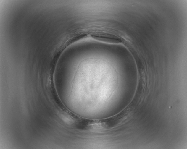 X0000066980499200603241240