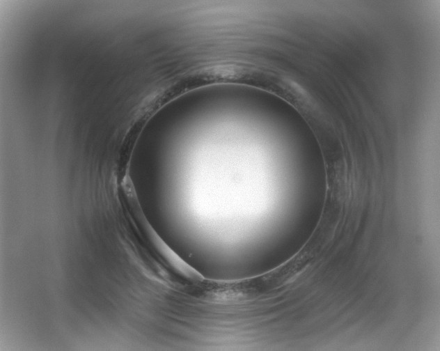 X0000066980500200603241240