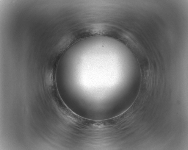 X0000066980502200603241240