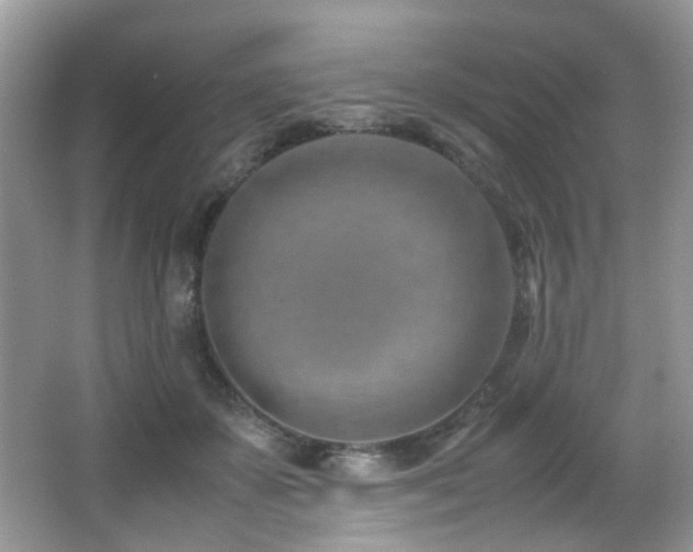 X0000066980507200603241240