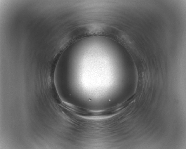 X0000066980508200603241240