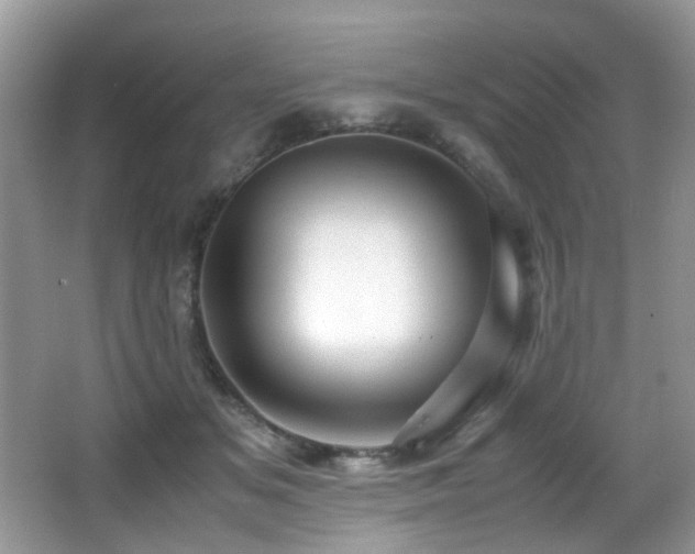 X0000066980509200603241240