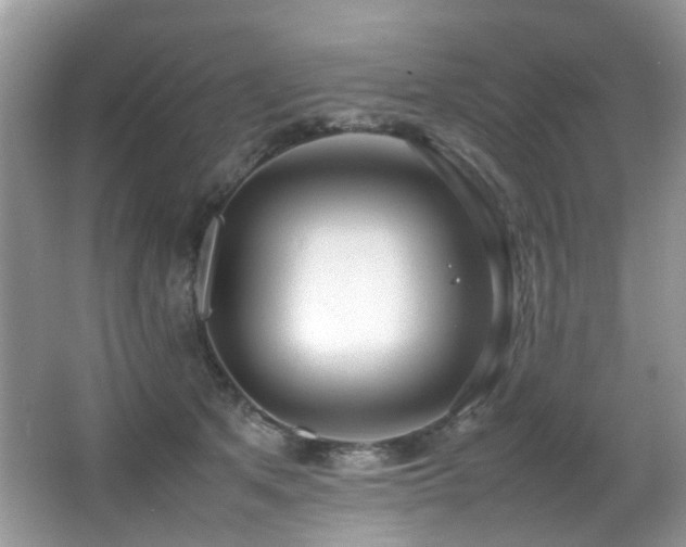 X0000066980513200603241240