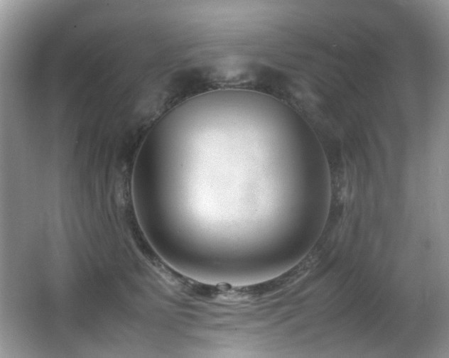 X0000066980515200603241240