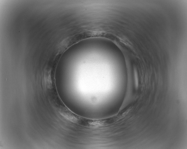 X0000066980516200603241240