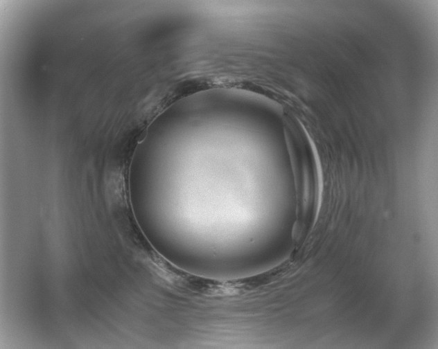 X0000066980523200603241240