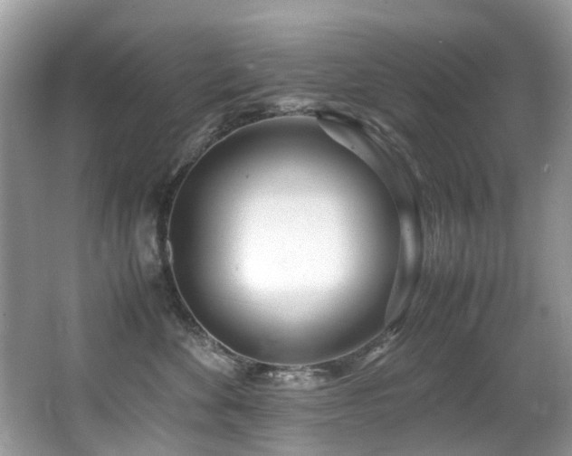 X0000066980524200603241240