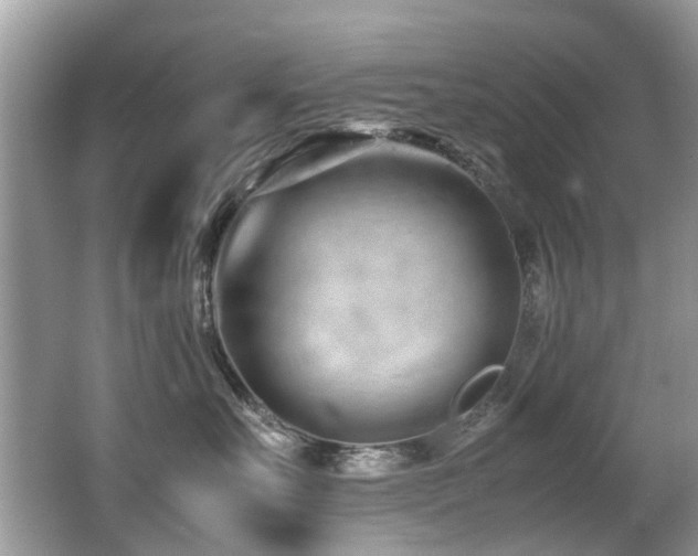 X0000066980527200603241240