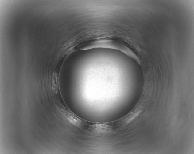 X0000066980528200603241240