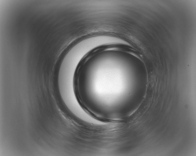 X0000066980544200603241239