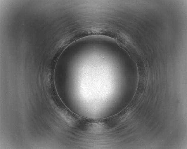 X0000066980548200603241239