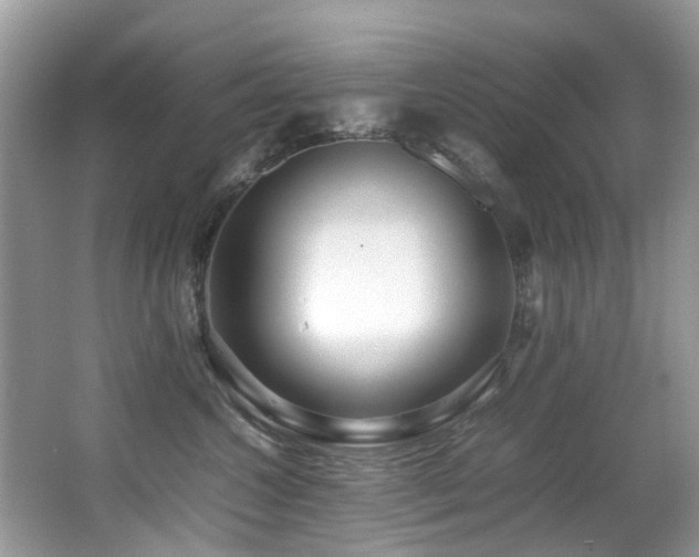 X0000066980572200603241240