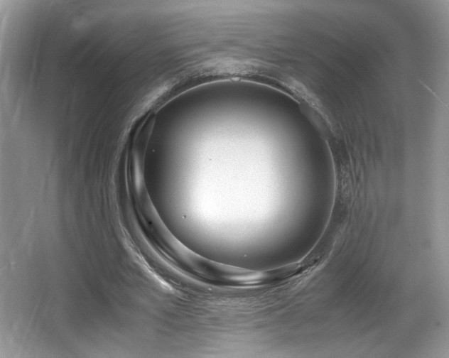 X0000066980581200603241239