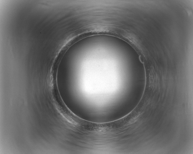 X0000066980584200603241239
