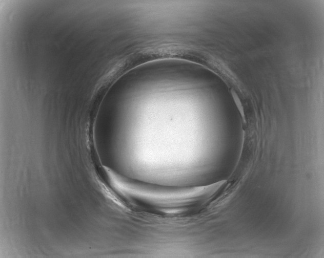 X0000066980585200603241239